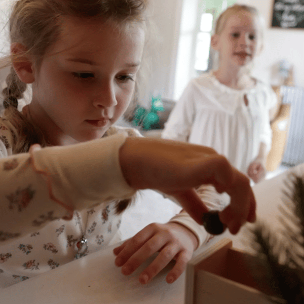 Preview /6912eaeb6eb1a100092b2b68/2025/11/22/product-img-69218c0170bd325c84230746.png